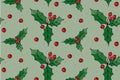 Winter seamless vector pattern with holly berries. Part of Christmas backgrounds collection. Can be used for wallpaper, pattern Royalty Free Stock Photo