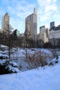 Winter time in Central Park New York Royalty Free Stock Photo