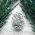 Winter season,christmas concepts ideas with pine tree and snow Royalty Free Stock Photo