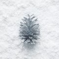 Winter season,christmas concepts ideas with silver pine cone Royalty Free Stock Photo