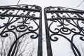 Frozen black metal gate covered with snow Royalty Free Stock Photo