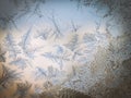 Winter Season Fantasy World Theme Concept: Macro Image Of Colorful Light Frosty Window Glass Natural Ice Patterns