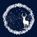 Winter season frame made of pine tree branches and wild deer stag vector design