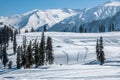 Winter season, Gulmarg is a town, a hill station, a popular tourist & skiing destination, Kashmir, India