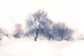 Winter season landscape white snow field forest trees white sky in soft blue purple colors Royalty Free Stock Photo