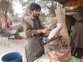 Fish man making fish at river janab in Multan Pakistan