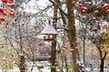 Snowy European Rowan tree with Great tit in bird feeder house