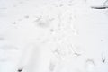 Winter season snowy background. White pure snow covering the earth with footprints Royalty Free Stock Photo