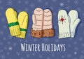 Winter set with handdrawn mittens in bright colors.