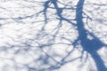 Winter shadow. Winter background. Snow background. Winter landscape. Royalty Free Stock Photo