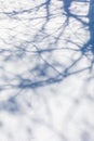 Winter shadow. Winter background. Snow background. Royalty Free Stock Photo