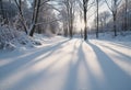 Winter shadows cast by bare trees on a serene blanket of snow Royalty Free Stock Photo