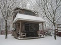 Winter Shed