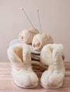 Winter sheepskin slippers (Selective focus)