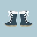 Winter Shoes Felt Boots Royalty Free Stock Photo