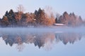 Winter Shoreline