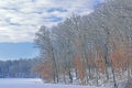 Winter Shoreline Eagle Lake