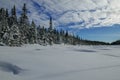 Winter shot of a boreal forest snow covered frozen lake Royalty Free Stock Photo