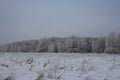 Winter in Siberia nature forest in the snow trees Royalty Free Stock Photo