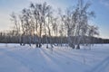 Winter Siberian forest