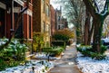 Winter Sidewalk Scene in Lincoln Park Chicago during the Day Royalty Free Stock Photo