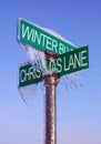 Winter Sign Royalty Free Stock Photo