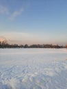 winter skies in the park