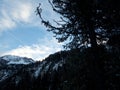 Winter skitouring adventure in granastpitzgruppe mountains in austrian alps Royalty Free Stock Photo