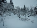 Winter skitouring and climbing in austrian alps