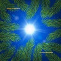 Winter sky background. Christmas tree branches and sun. Holiday concept with green branch of pine Royalty Free Stock Photo