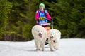 Winter sled dog racing