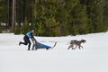 Winter sled dog racing