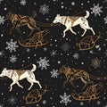 Winter Sled Dogs and Snowflakes Pattern Royalty Free Stock Photo