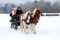 Winter Sleigh Ride Royalty Free Stock Photo