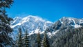 winter in Slovakia Tatra mountains. peaks and trees covered in snow