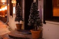 Winter, small trees in pots in the snow outside at the door Royalty Free Stock Photo