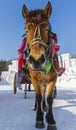 Winter Snow carriage Royalty Free Stock Photo