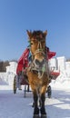 Winter Snow carriage Royalty Free Stock Photo