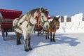 Winter Snow carriage Royalty Free Stock Photo