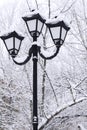 Winter snow cityscape. Vintage lantern in retro style on a background of snowy trees in cloudy weather