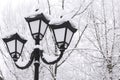 Winter snow cityscape. Vintage lantern in retro style on a background of snowy trees in cloudy weather