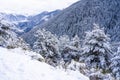 Winter snow-covered forest in the mountains. Mountain peaks covered with snow in winter. Picturesque and gorgeous winter Royalty Free Stock Photo