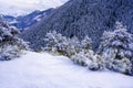 Winter snow-covered forest in the mountains. Mountain peaks covered with snow in winter. Picturesque and gorgeous winter Royalty Free Stock Photo