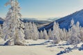 Winter. Snow-covered larch trees on a slope, mountains in the distance. Kolyma
