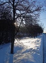 Winter snow-covered Park in Moscow Royalty Free Stock Photo