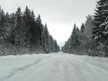 Winter snow-covered road. Beautiful forest, nature and road covered with snow. Details and close-up. Royalty Free Stock Photo