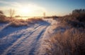 Winter snow-covered road, plants and trees in the frost Royalty Free Stock Photo