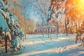 Winter snow-covered rural sunny view instagram stile Royalty Free Stock Photo