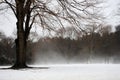 Winter Snow and Fog Landscape