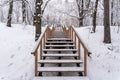 Winter snow forest bridge in park. Russia